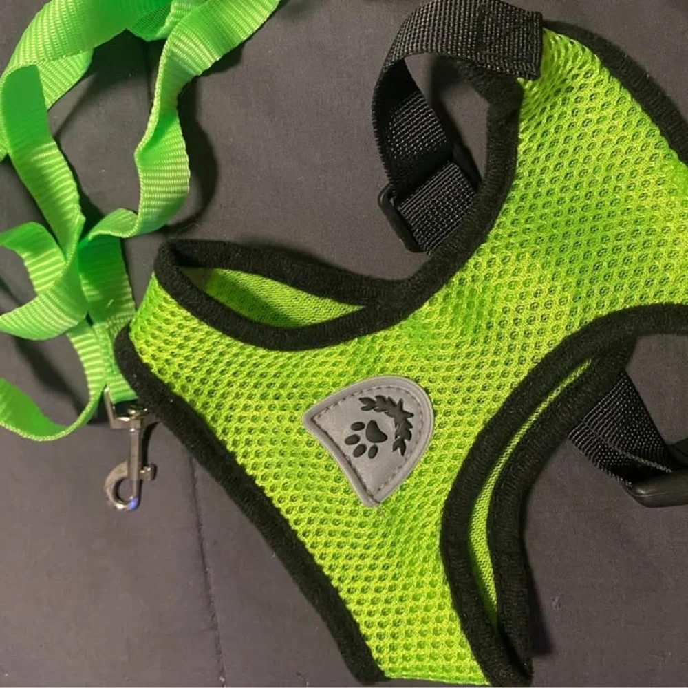 Bright Green Dog Harness and Leash Set 🐱🐕💚